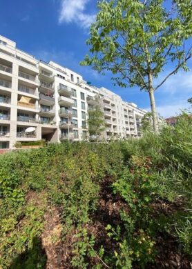 Hoch hinaus! Mit Fahrstuhl und Blick in den Sonninpark- Wentzel Dr., 20097 Hamburg, Etagenwohnung
