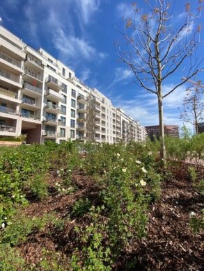 Wohnen im Sonninpark! Balkon mit Süd- / Westausrichtung, 20097 Hamburg, Etagenwohnung